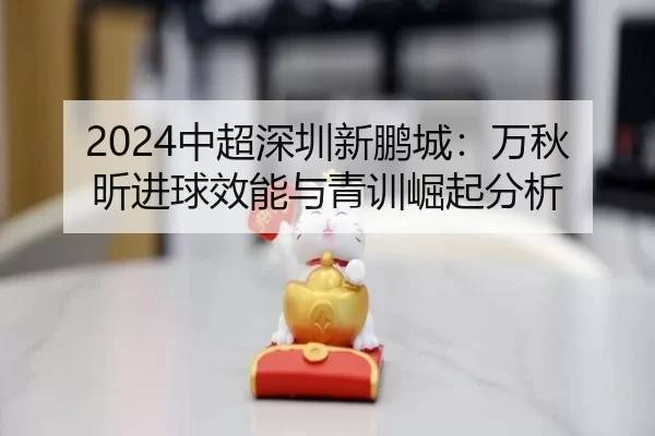 2024中超深圳新鹏城：万秋昕进球效能与青训崛起分析